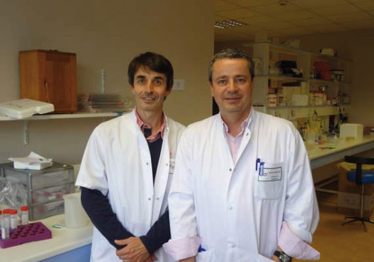 Dr-Fabrice-Lalloue-Pr-Francois-Vincent